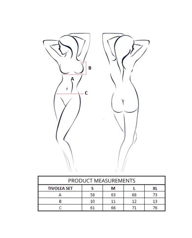 PASSION TIVOLEA SET SUJETADOR TANGA VIOLETA L XL PASSION TIVOLEA SET SUJETADOR TANGA VIOLETA L XL
