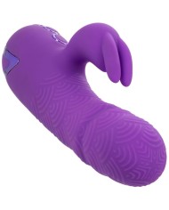 CALEXOTICS MANHATTAN BEACH MARVEL VIBRADOR RABBIT MORADO BY CALIFORNIA DREAMING