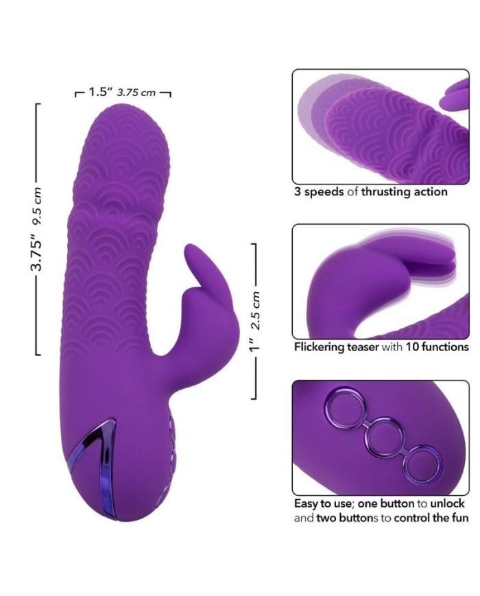 CALEXOTICS MANHATTAN BEACH MARVEL VIBRADOR RABBIT MORADO BY CALIFORNIA DREAMING