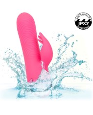 CALEXOTICS SACRAMENTO SWEETIE VIBRADOR RABBIT ROSA BY CALIFORNIA DREAMING