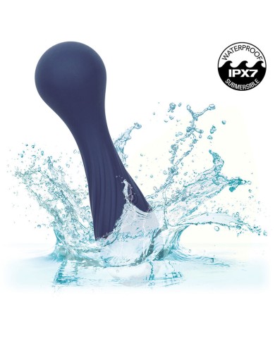 CALEXOTICS CHARISMA TEMPTATION MASAJEADOR 12 FUNCIONES MORADO CALEXOTICS CHARISMA TEMPTATION MASAJEADOR 12 FUNCIONES MORADO