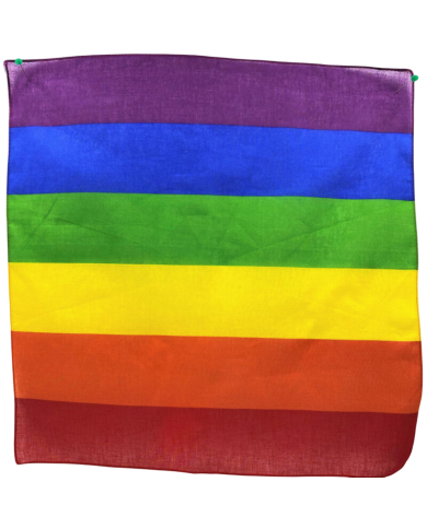 PRIDE PANUELO LGBT 50 X 50