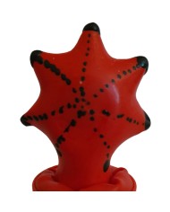 CONDOMERIE PRESERVATIVO DECORATIVO PINTADO A MANO ESTRELLA DE MAR