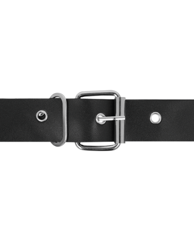 HARNESS ATTRACTION RNES TAYLOR DELUXE 18 CM O 45 CM