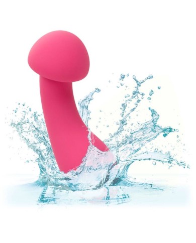 CALEXOTICS PIXIES EXCITER ROSA CALEXOTICS PIXIES EXCITER ROSA