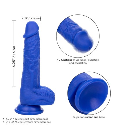 CALEXOTICS ADMIRAL SAILOR DILDO REALISTICO VIBRADOR AZUL CALEXOTICS ADMIRAL SAILOR DILDO REALISTICO VIBRADOR AZUL