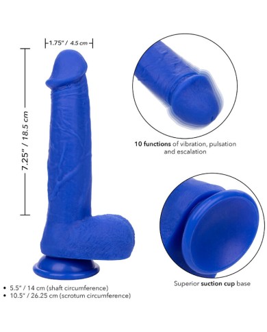 CALEXOTICS ADMIRAL CAPTAIN DILDO REALISTICO VIBRADOR AZUL CALEXOTICS ADMIRAL CAPTAIN DILDO REALISTICO VIBRADOR AZUL