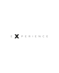 EXPERIENCE