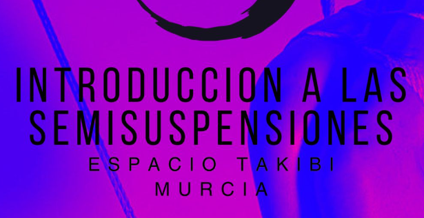 INTRODUCCIÓN A LAS SEMISUSPENSIONES